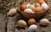 Mơ thấy trứng gà đánh con số mấy đảm bảo chắc ăn?