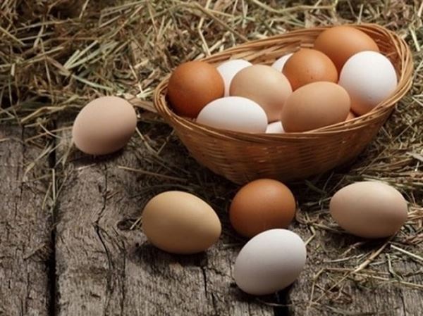 Mơ thấy trứng gà đánh con số mấy đảm bảo chắc ăn? 
