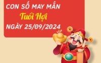 Đi tìm con số may mắn tuổi Hợi hôm nay ngày 25/9/2024